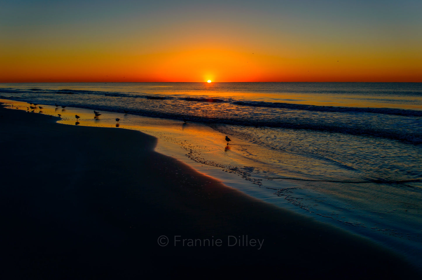 Hilton Head Island, Coligny Beach, Sunrise, Landscape Photograph, Beach, Birds, Bluffton, South Carolina