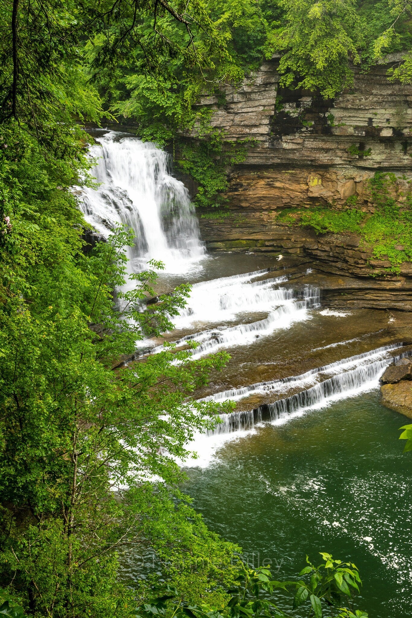 Cummins Falls State Park Cookeville Tennessee Waterfall Home Decor Landscape Photograph Metal Print Wall Art Frannie Dilley Photography