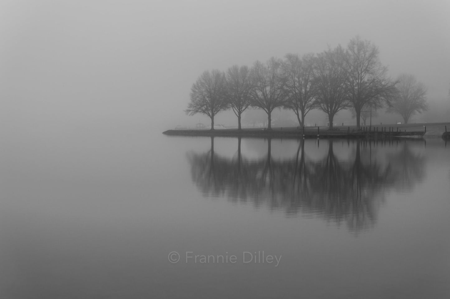 Lake Norman, Photograph Print, Wall Art, Home Decor, Canvas, Landscape Print, Mooresville, Charlotte, Huntersville, Lake, Black & White