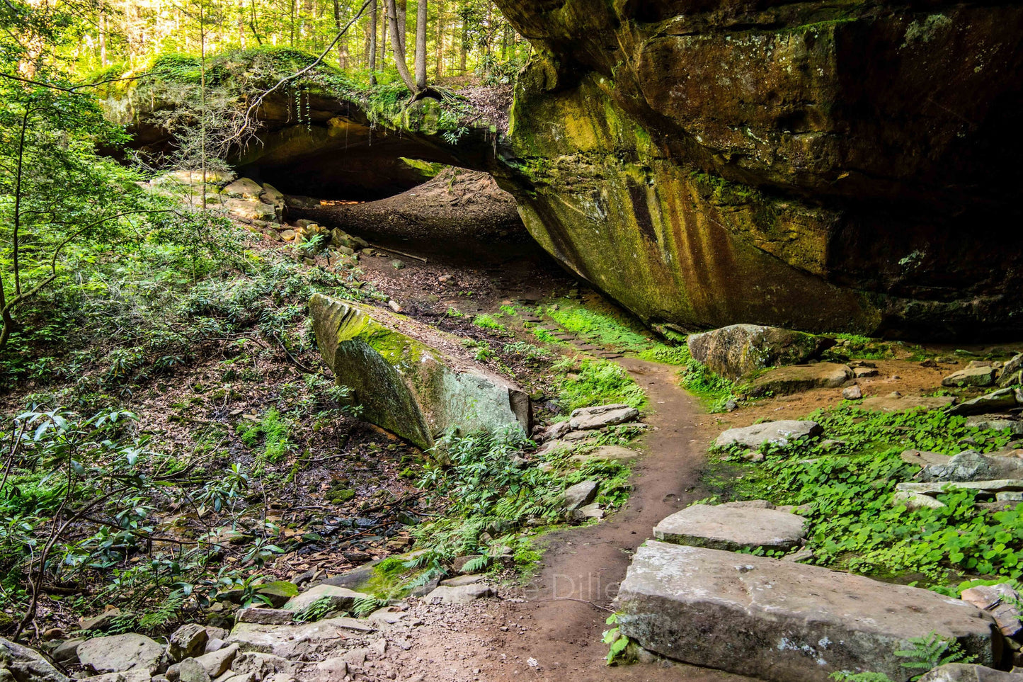 Yahoo Falls Arch, Big South Fork National River & Recreation Area, Whitley City,Stearns,Kentucky,Hiking,Frannie Dilley, Landscape Photograph