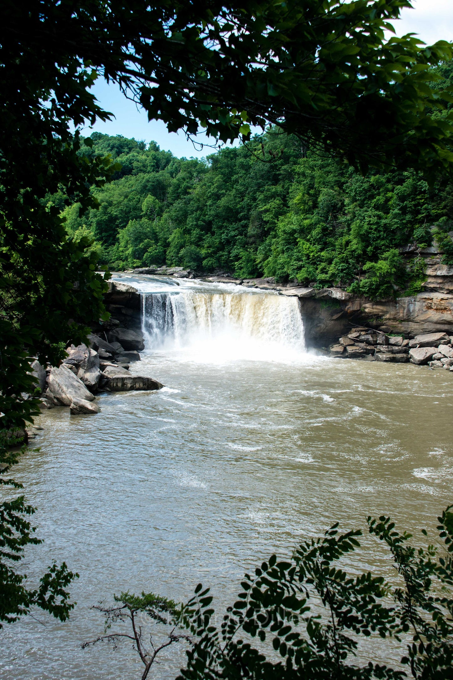 Cumberland Falls, Eagle Falls, Waterfalls, Rushing River, Corbin, Kentucky, Big Waterfall, Gap, Frannie Dilley, Vertical Photograph Print