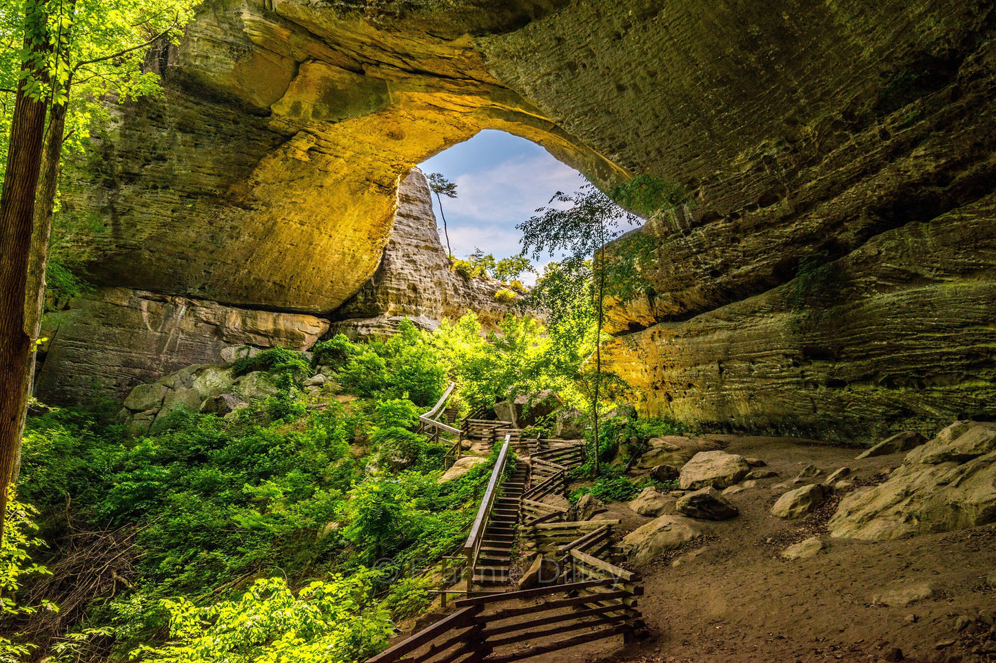 Natural Arch Scenic Area,Cumberland,Bridge,Whitley City,Slade,Parkers Lake,Kentucky,Cliffs,Frannie Dilley,Landscape Photography Print