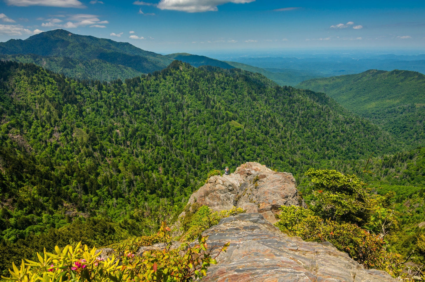 Charlies Bunion, Newfound Gap, Appalachian Trail, Hiking, Mountains, Bryson City, North Carolina, Tennessee, Landscape Photograph
