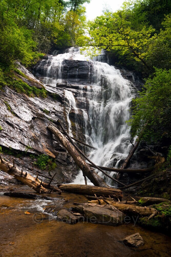 King Creek Falls, Mountain Rest, SC, Burrells Ford, Chattooga River Trail, Waterfalls, Waterfall, Vertical Photograph Print, Frannie Dilley
