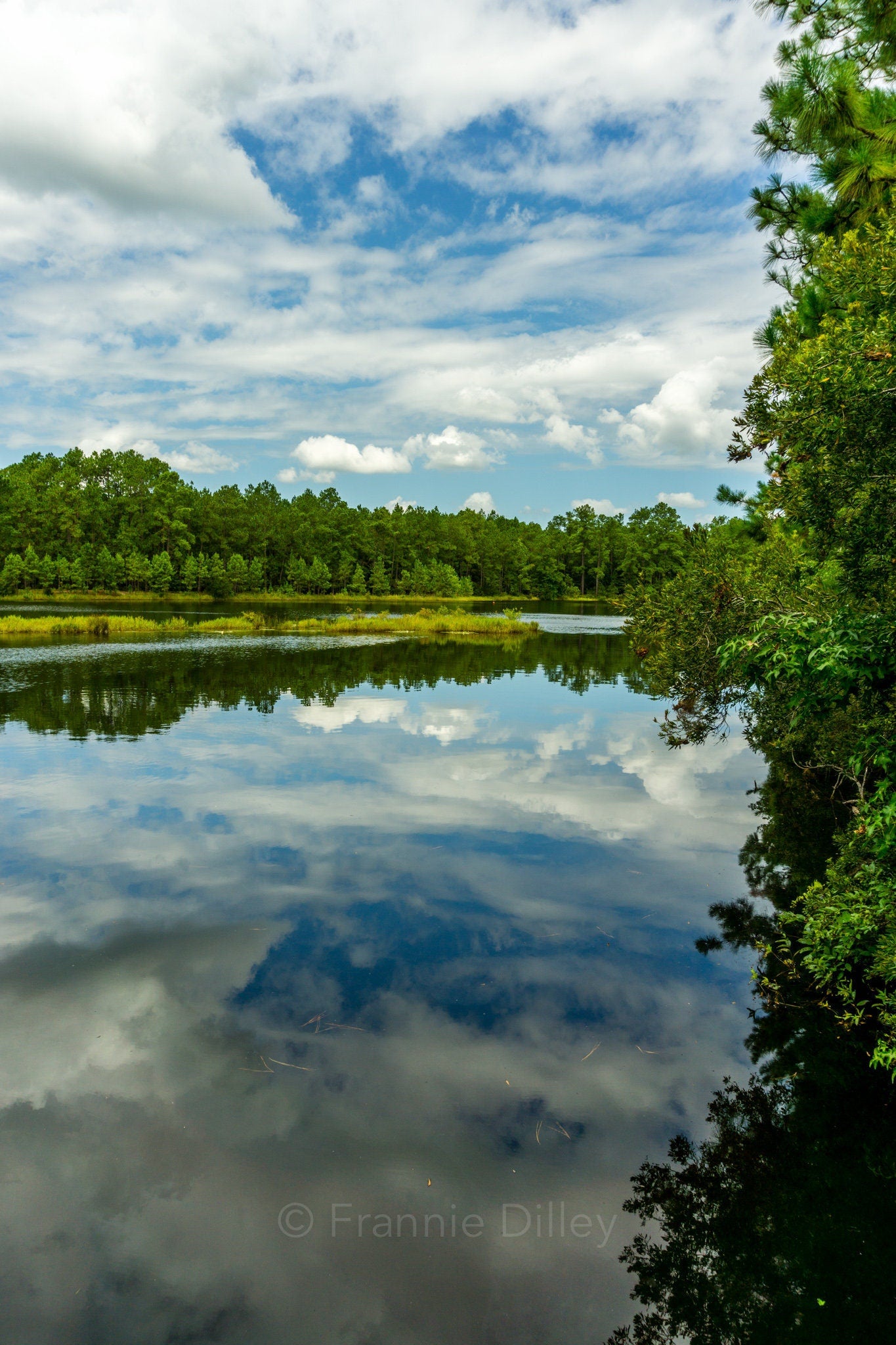 Pinckney Island, Wildlife Refuge, Marsh, Reflection, Clouds, Hilton Head Island, South Carolina, Bluffton, Landscape Photograph