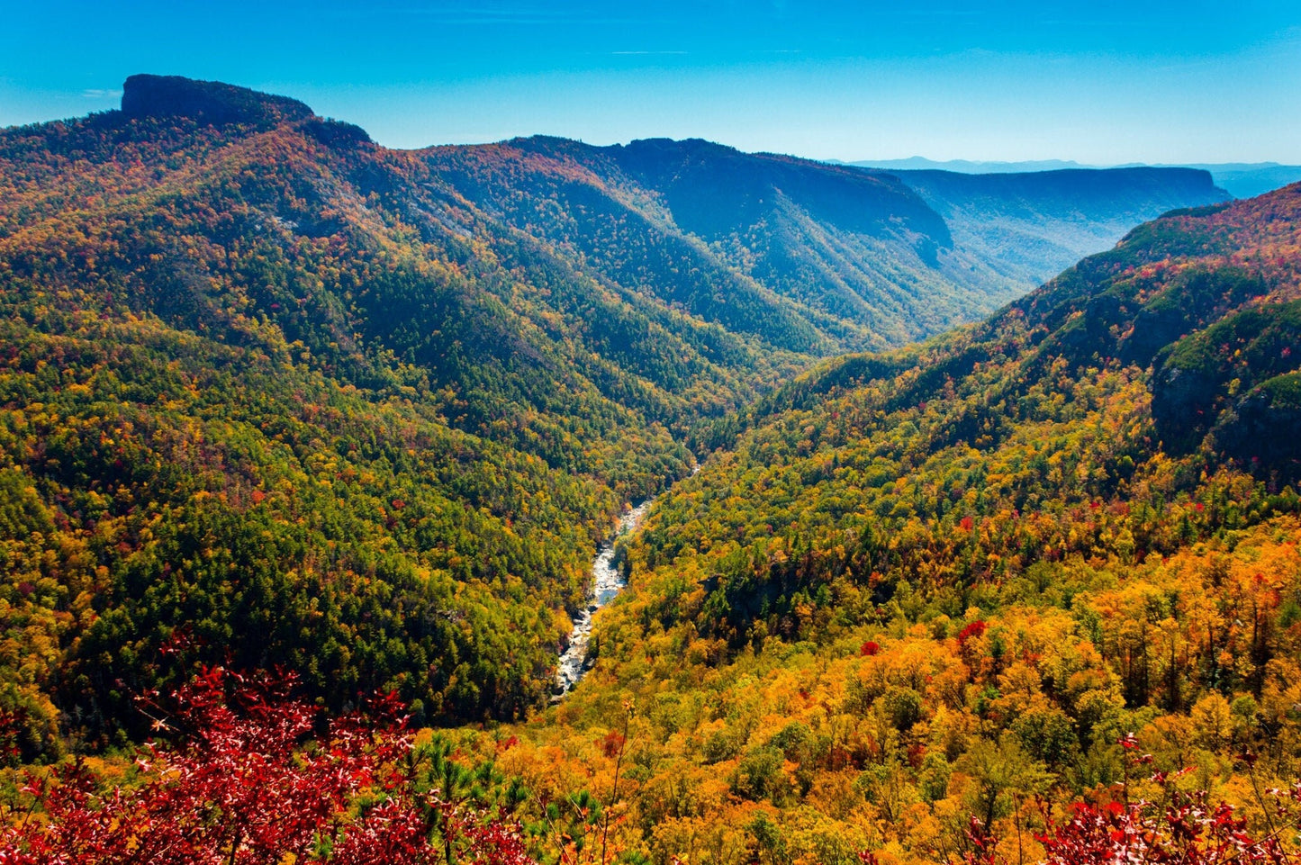 Linville Wilderness, Wisemans View, North Carolina, Linville Gorge, Hiking, Fall Leaves, Autumn, Landscape Photograph, Blue Ridge Parkway,