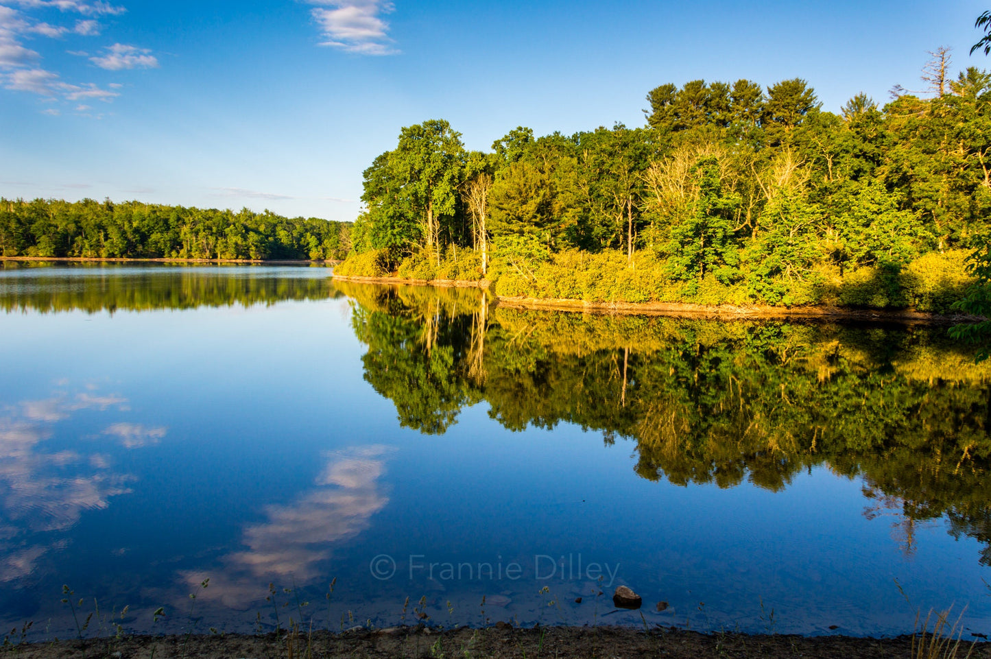 Julian Price Campground, Price Lake, Reflections, Spring, Blue Ridge Parkway, Blowing Rock, North Carolina, Landscape Photograph