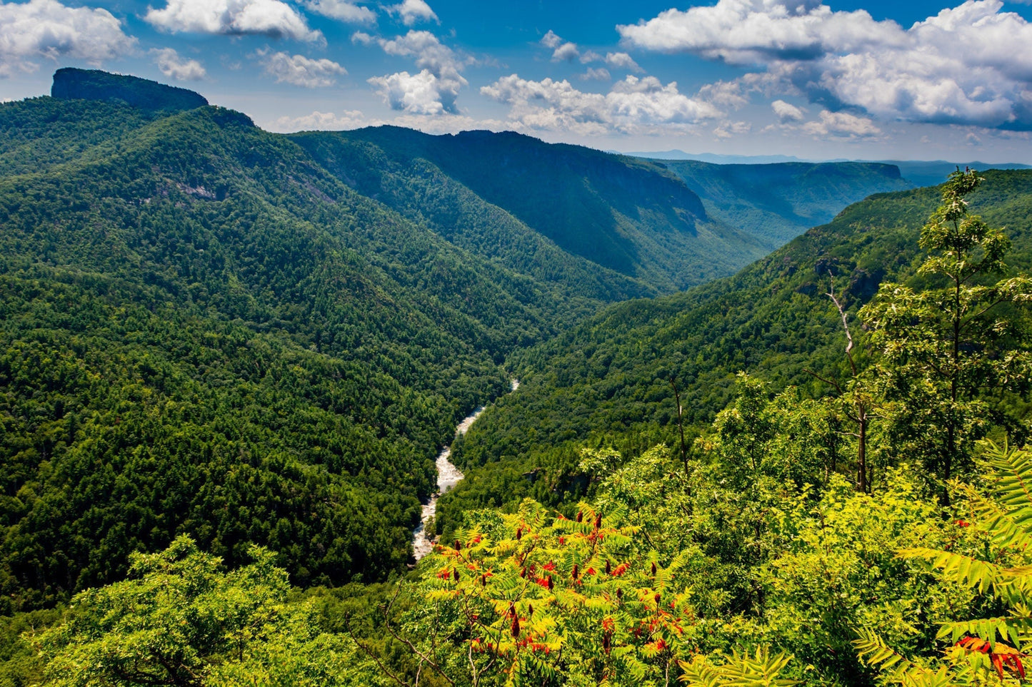 Wisemans View, Photograph Print, Wall Art, Home Décor, Landscape Print,Linville Falls, North Carolina, Linville Gorge, Blue Ridge Parkway,
