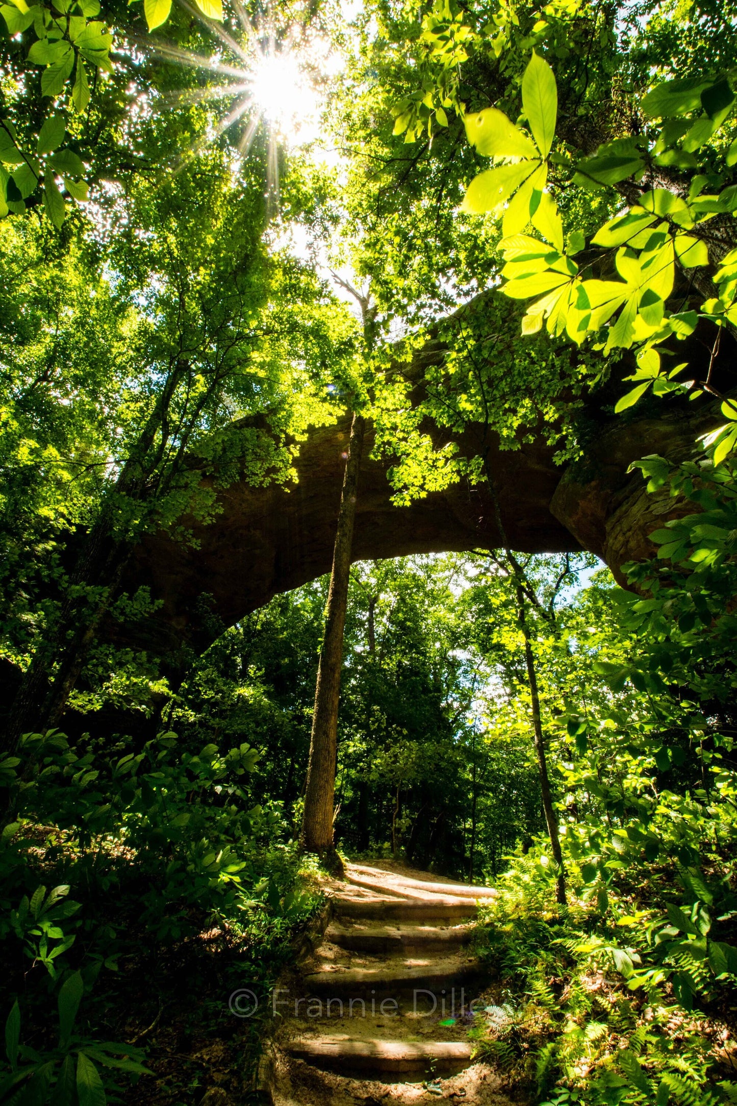 Twin Arches, Big South Fork National River & Recreation Area, Oneida, Tennessee,TN, Charit Creek,Hiking,Frannie Dilley,Vertical Photograph