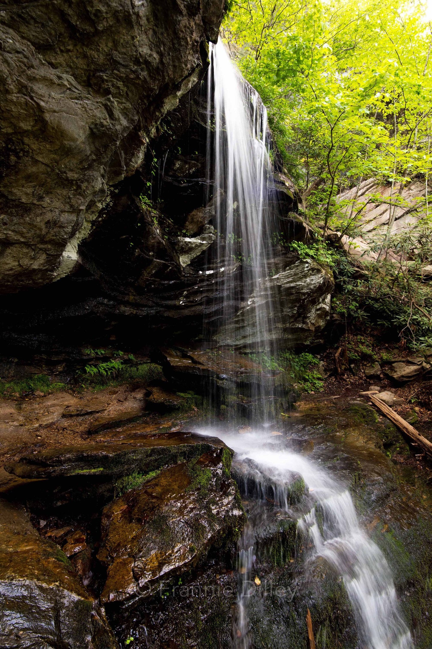 Window Falls, Hanging Rock State Park, Photograph Print, Home Decor, Landscape Print, North Carolina, Danbury, Vertical, Winston Salem,