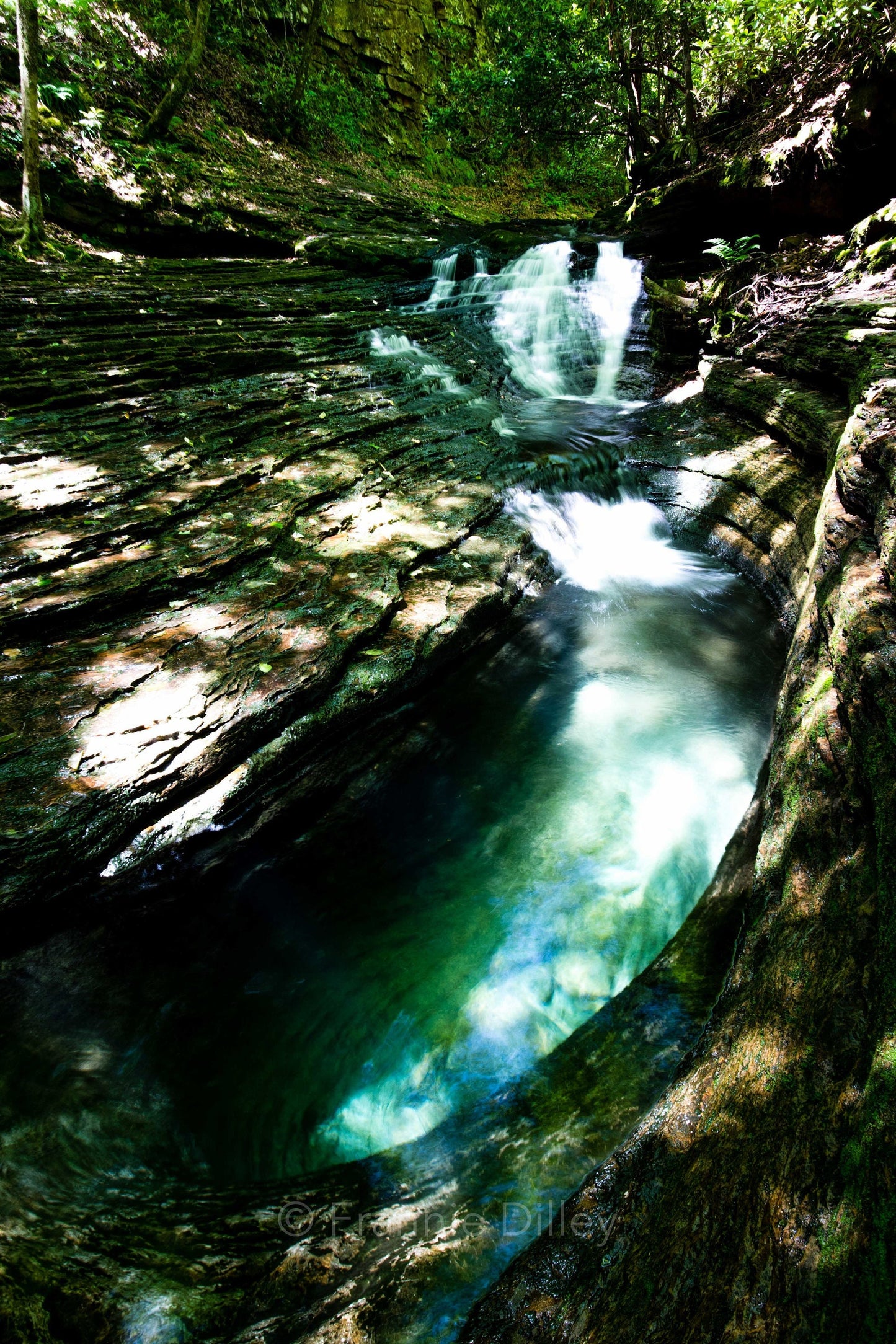 Devil's Bathtub,Devils Fork Loop Trail,Waterfall,Tropical Blue Water,Swimming Hole,Duffield,Virginia,Frannie Dilley,Vertical Photograph