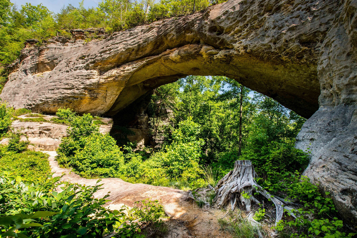 Natural Arch Scenic Area,Cumberland,Bridge,Whitley City,Slade,Parkers Lake,Kentucky,Cliffs,Frannie Dilley,Landscape Photography Print