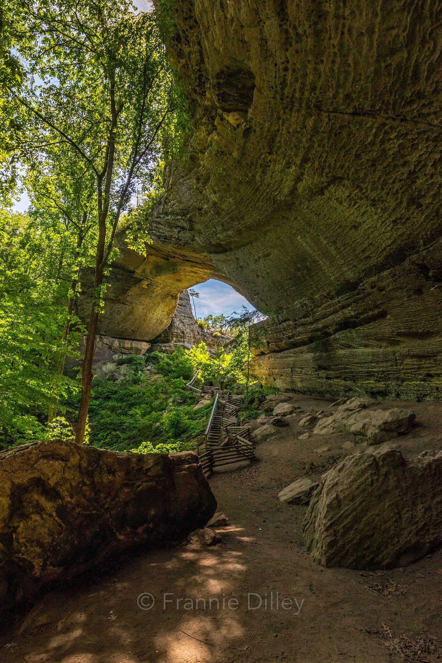 Natural Arch Scenic Area,Cumberland,Bridge,Whitley City,Slade,Parkers Lake,Kentucky,Cliffs,Frannie Dilley,Vertical Photograph Print
