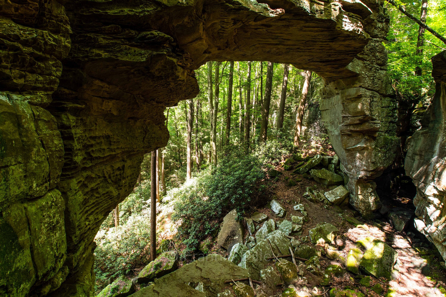 Split Bow Arch, Natural Bridge, Strunk, Kentucky, Hiking, Cliffs, Overlook, Rocky, Bear Creek,Pine Knot,Frannie Dilley,Landscape Photography
