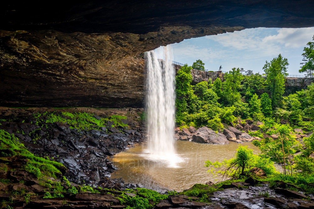 Noccalula Falls Park,Spring,Waterfalls,Gadsden,Alabama,Black Creek Gorge, Hiking, Landscape Photograph Print,Metal,Frannie Dilley