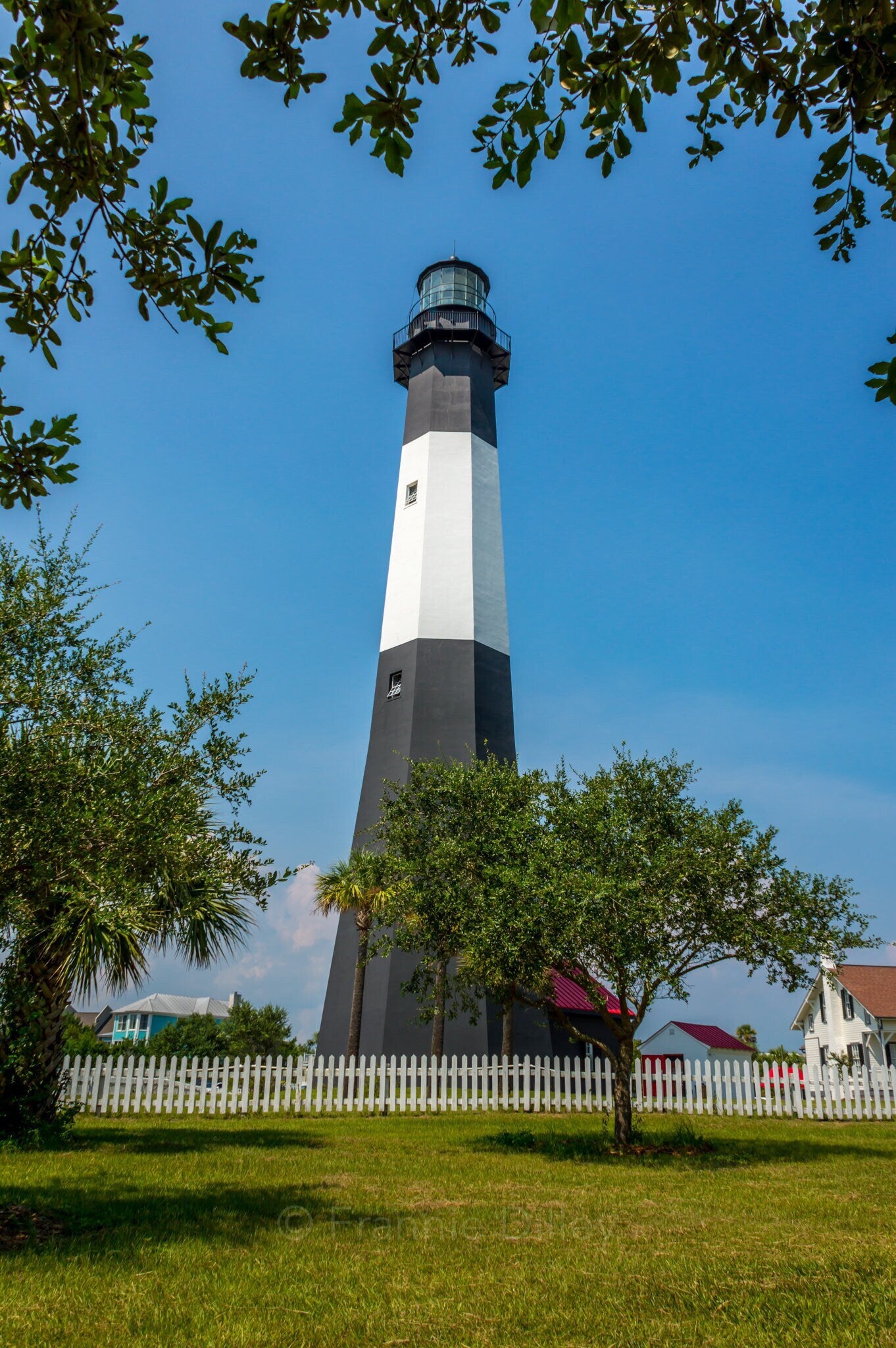 Tybee Island Lighthouse, Tybee Island, Georgia, Spring, Landscape Photograph