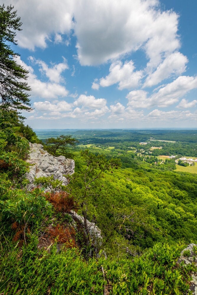 Lula Lake Land Trust, Lookout Mountain, Georgia, Overlook, Bluff Trail, Hiking, Vertical Photograph Print, Metal, Frannie Dilley