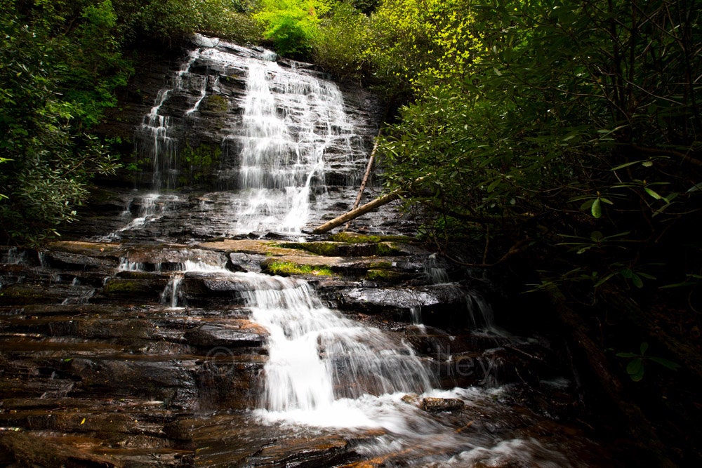 Spoonauger Falls, Waterfalls, Waterfall, Mountain Rest, SC, Burrells Ford, Chattooga River Trail, Landscape Photograph Print, Frannie Dilley