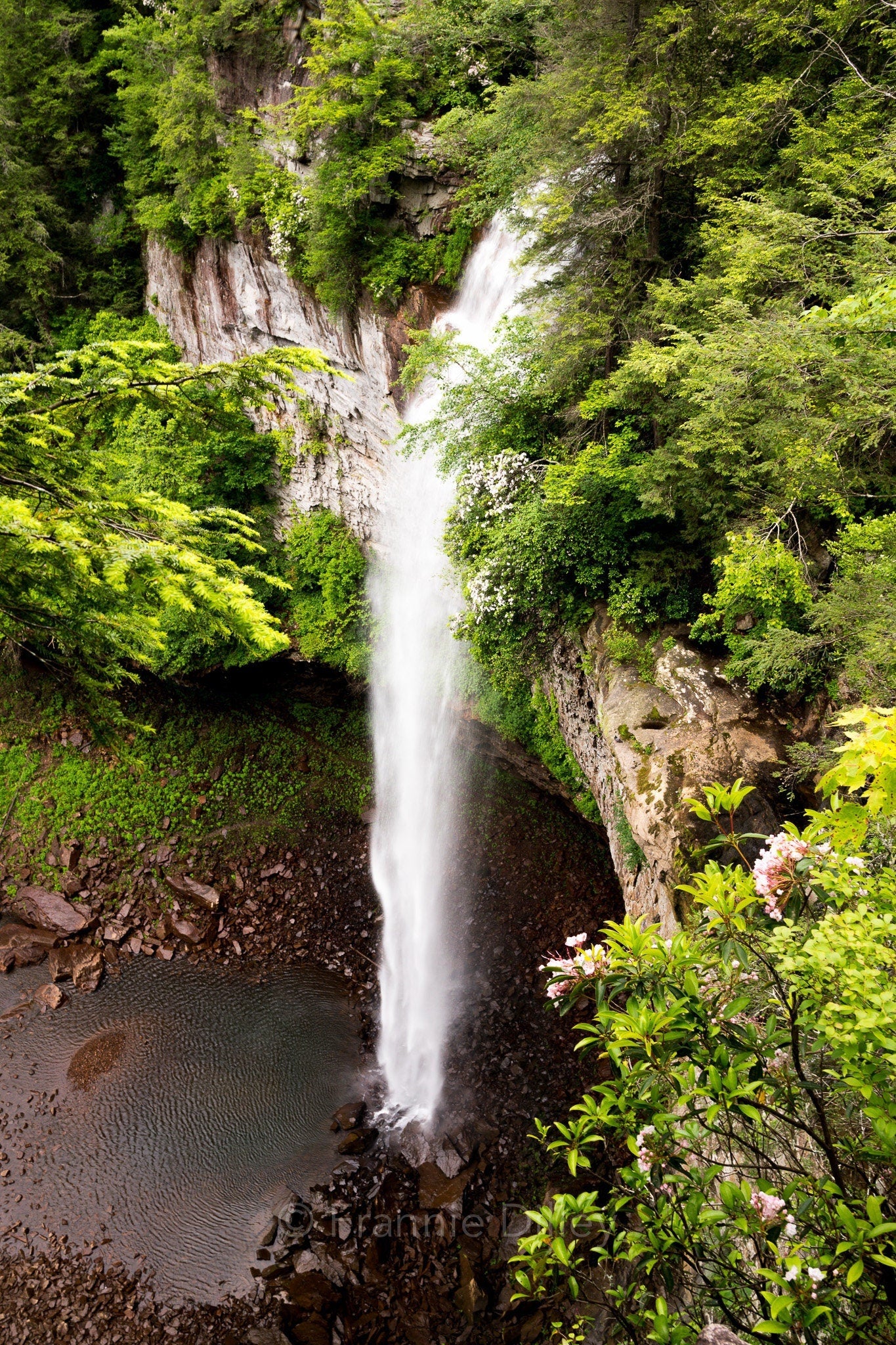 Fall Creek Falls State Park Spencer Tennessee Vertical Landscape Photograph Metal Print Wall Art Waterfalls Frannie Dilley Photography