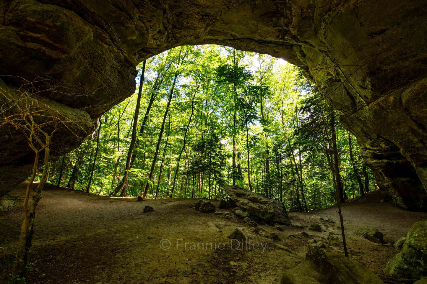 Twin Arches, Big South Fork National River & Recreation Area, Oneida, Tennessee,TN, Charit Creek,Hiking,Frannie Dilley, Landscape Photograph