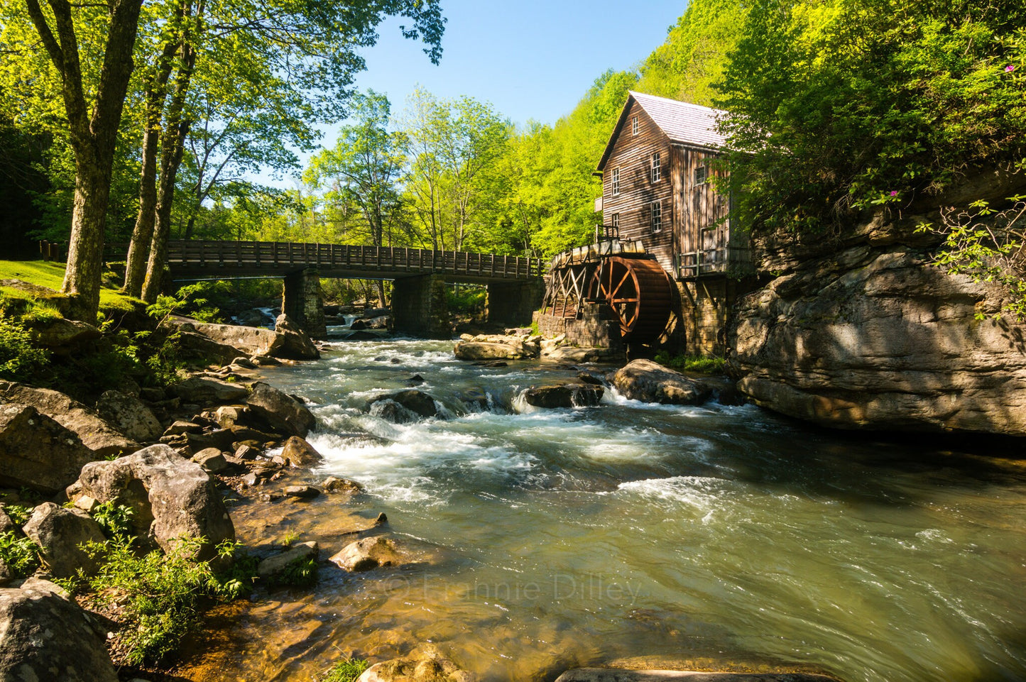 Babcock State Park, Grist Mill, River, Waterfall, Bridge, Spring, Clifftop, West Virginia, Landscape Photograph