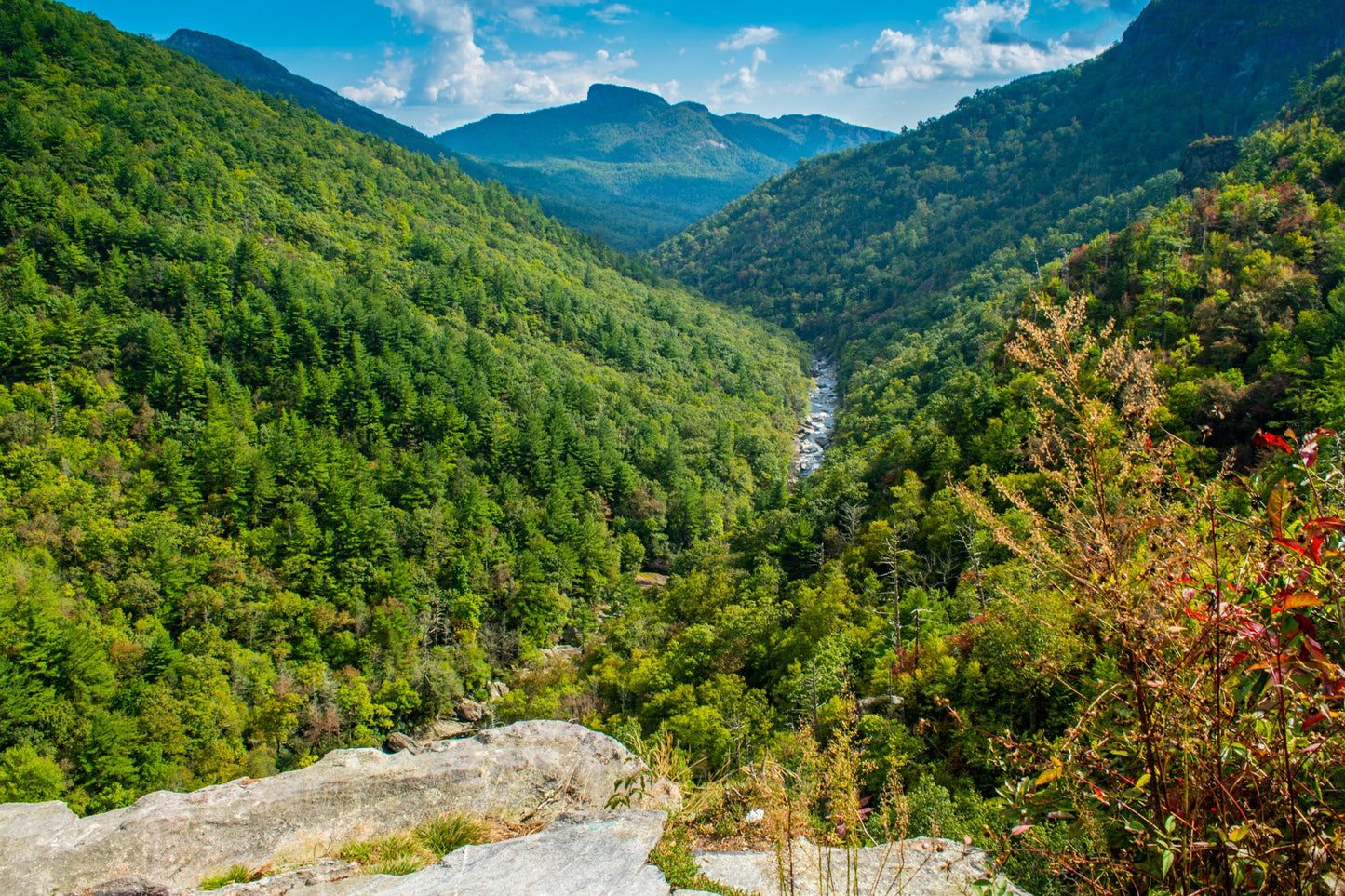 Linville Wilderness, Linville Falls, North Carolina, Linville Gorge, Hiking, Photograph, Landscape, Blue Ridge Parkway,