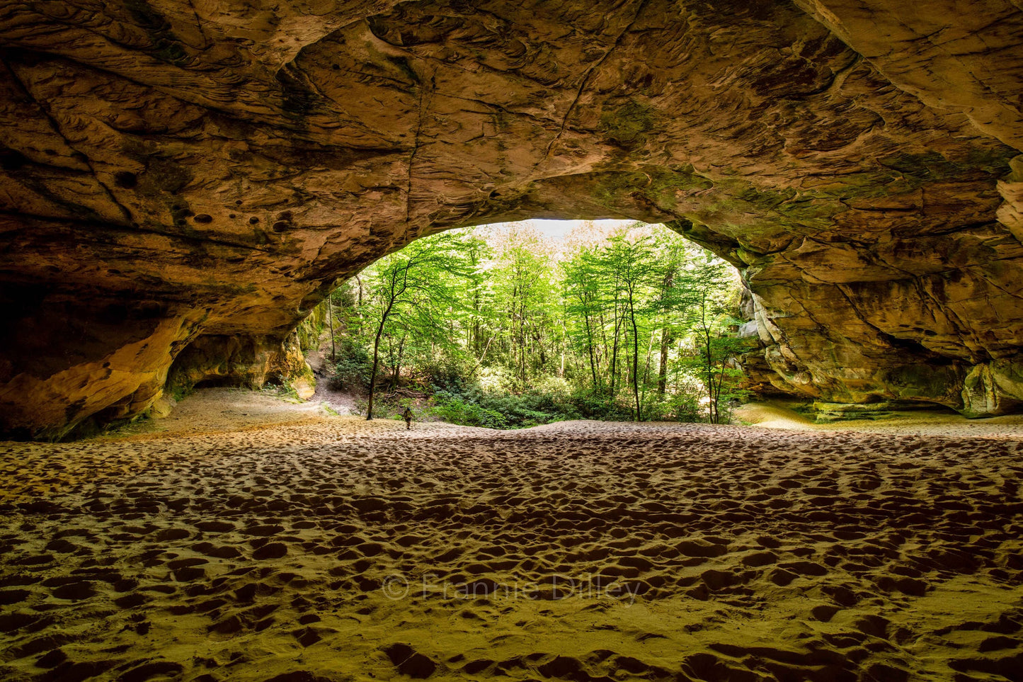 Sand Cave, Secret Cave, White Rocks, Civic Park Trailhead, Ewing, Virginia, Kentucky, Cumberland Gap, Frannie Dilley, Landscape Photography