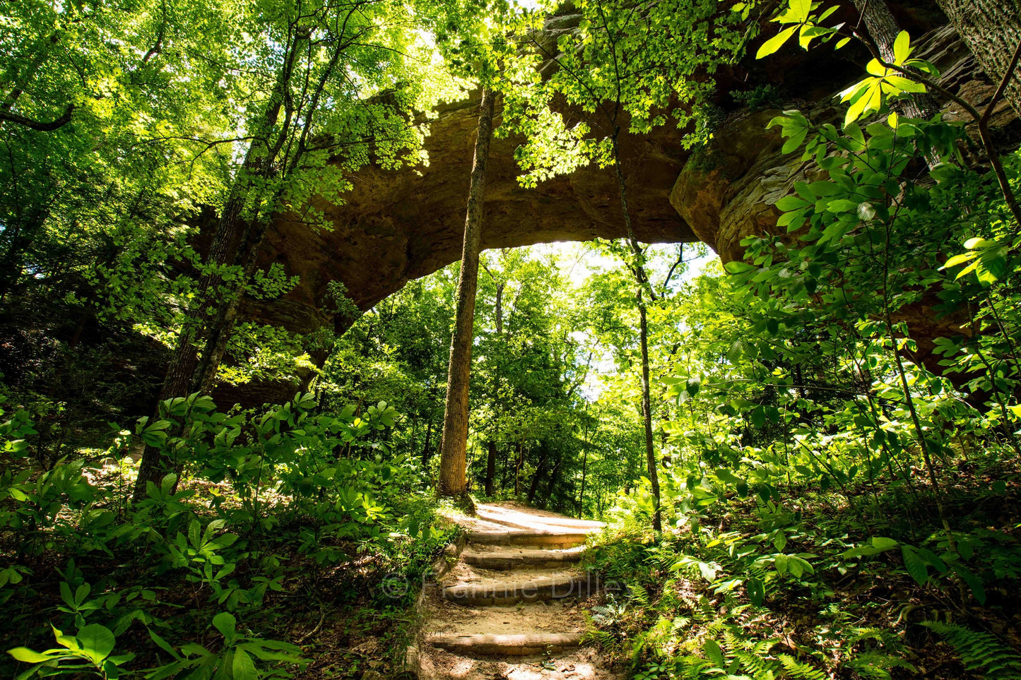 Twin Arches, Big South Fork National River & Recreation Area, Oneida,Tennessee,TN, Charit Creek,Hiking,Frannie Dilley,Landscape Photography