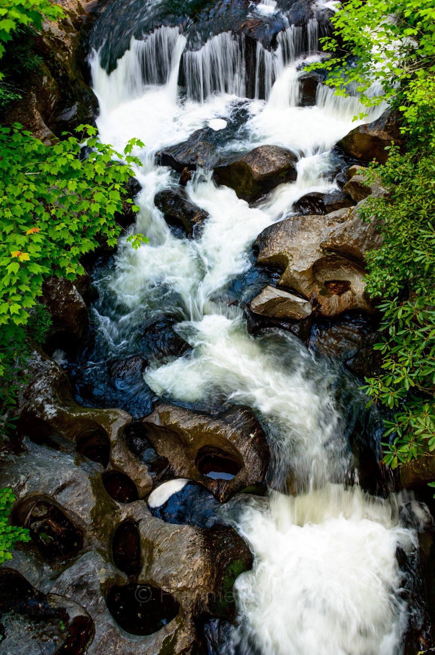 Waterfalls, Brevard, North Carolina, Pothole Falls, Photograph Print, Wall Art, Home Décor, Landscape Print,Bull Pen Bridge, Highlands,