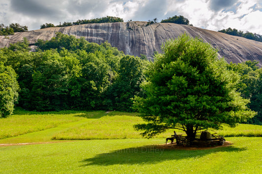 Stone Mountain, Oak Tree, North Carolina, Mountain, Peak, Landscape Photograph, Mountain to Sea Trail, Laurel Springs