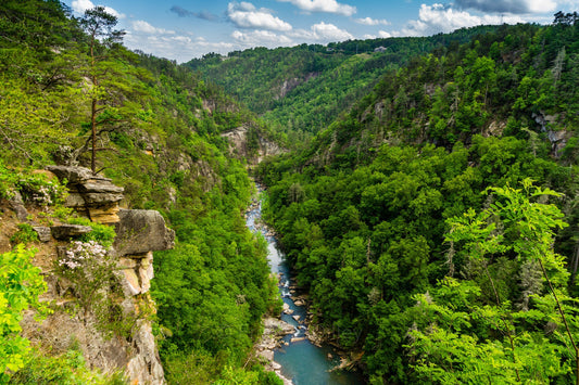 Tallulah Gorge State Park, Hiking, Cliffs, Bridge, River, Tallulah Falls, Georgia, Landscape Photograph.