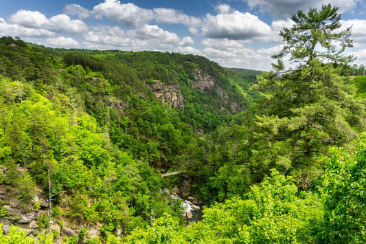 Tallulah Gorge State Park, Hiking, Cliffs, Bridge, River, Tallulah Falls, Georgia, Landscape Photograph.