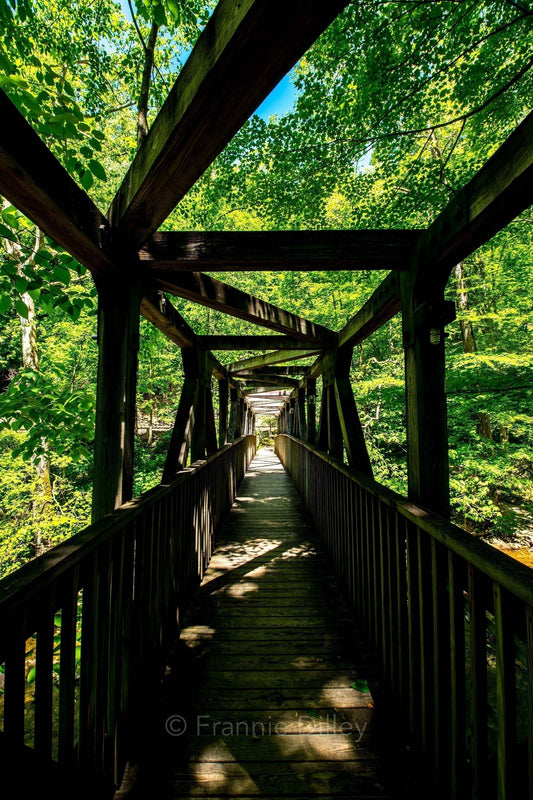Natural Tunnel State Park,Duffield,Wooden Bridge,Trains,Railroad, Crossing,Train Track,Virginia,Frannie Dilley,Vertical Photograph