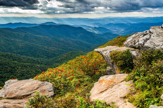 Craggy Gardens, Craggy Gardens Pinnacle Summit, Mountains, Blue Ridge Parkway, Black Mountain, North Carolina, Spring, Landscape Photograph