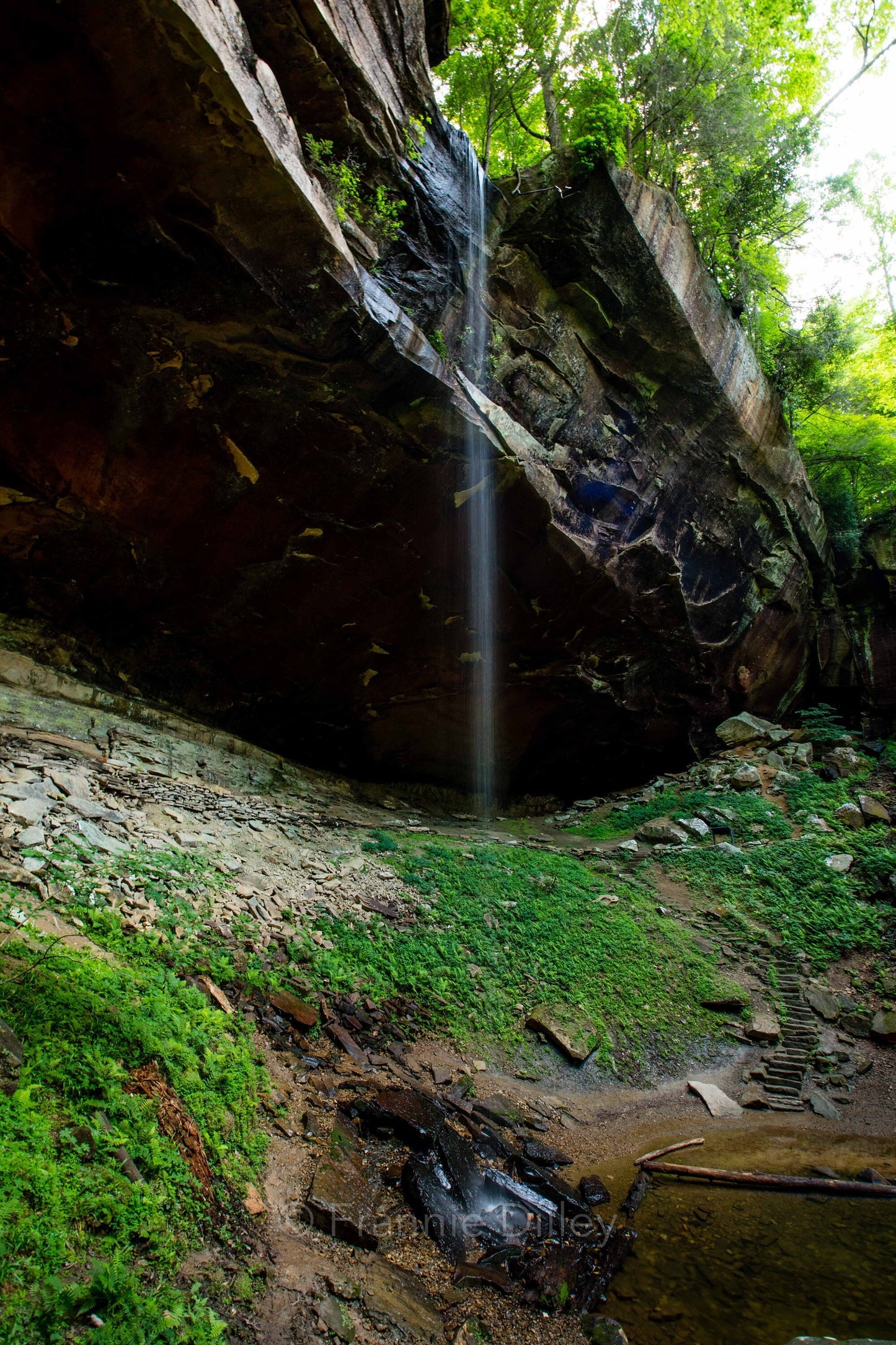 Yahoo Falls, Arch, Waterfalls, River, Waterfall, Big South Fork Recreation Area, Stearns,Kentucky,Hiking,Frannie Dilley, Vertical Photograph
