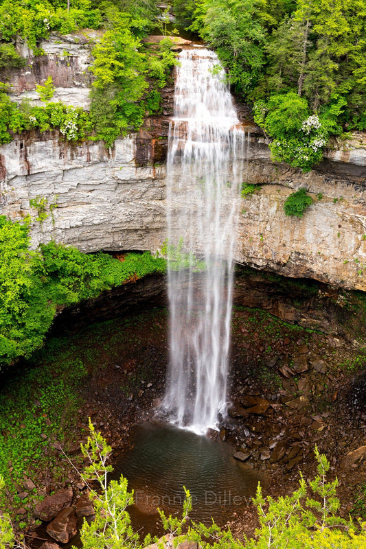 Fall Creek Falls State Park Spencer Tennessee Vertical Landscape Photograph Metal Print Wall Art Decor Waterfalls Frannie Dilley Photography