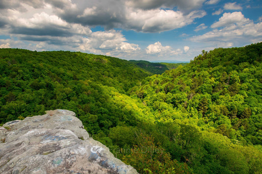 Bear Rocks, Little Stony National Recreation Area, Coeburn, Virginia, Hiking, Overlook, Mountaintop, Frannie Dilley, Landscape Photograph