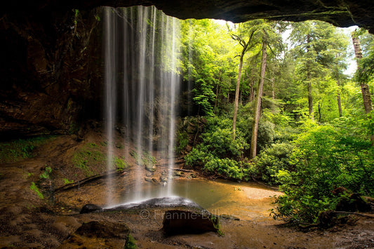 Northrup Falls Colditz Cove State Natural Area Tennessee Waterfalls Landscape Photograph Metal Print Wall Art Frannie Dilley Photography
