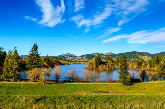 Spring Lake, Photograph Print, Wall Art, Home Décor, Landscape Print,Spring Lake Park, Sonoma County, Lake, California, Hiking, Santa Rosa,