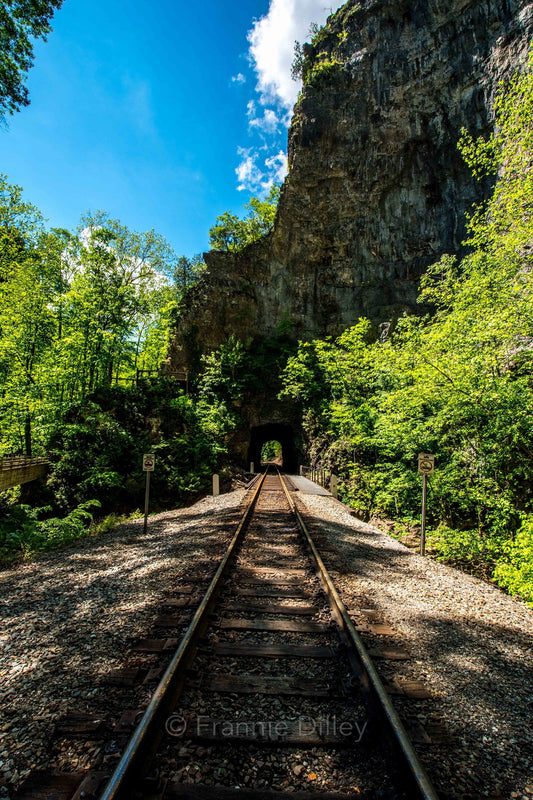 Natural Tunnel State Park,Duffield,Appalachian Mountains,Trains,Railroad Crossing,Train Tracks,Virginia,Frannie Dilley,Vertical Photograph