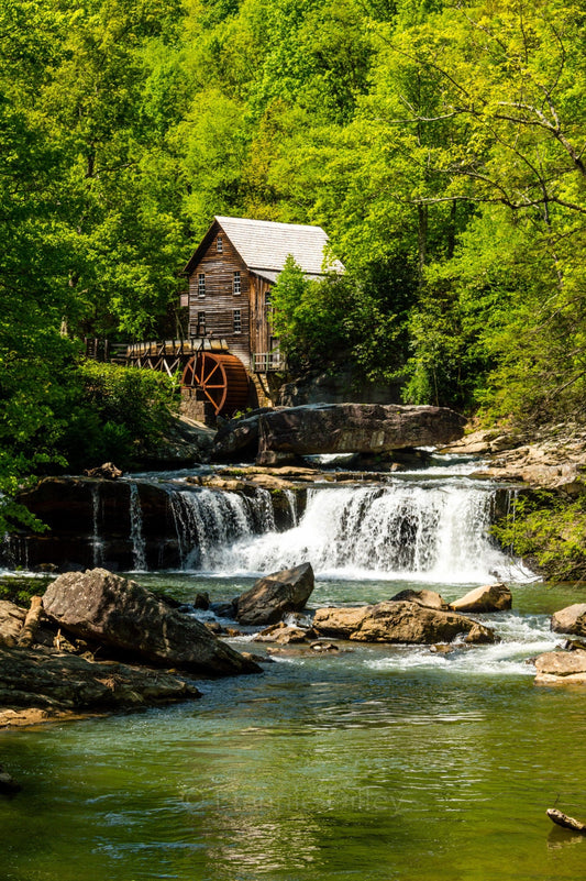 Babcock State Park, Grist Mill, River, Waterfall, Bridge, Spring, Clifftop, West Virginia,Landscape Photograph