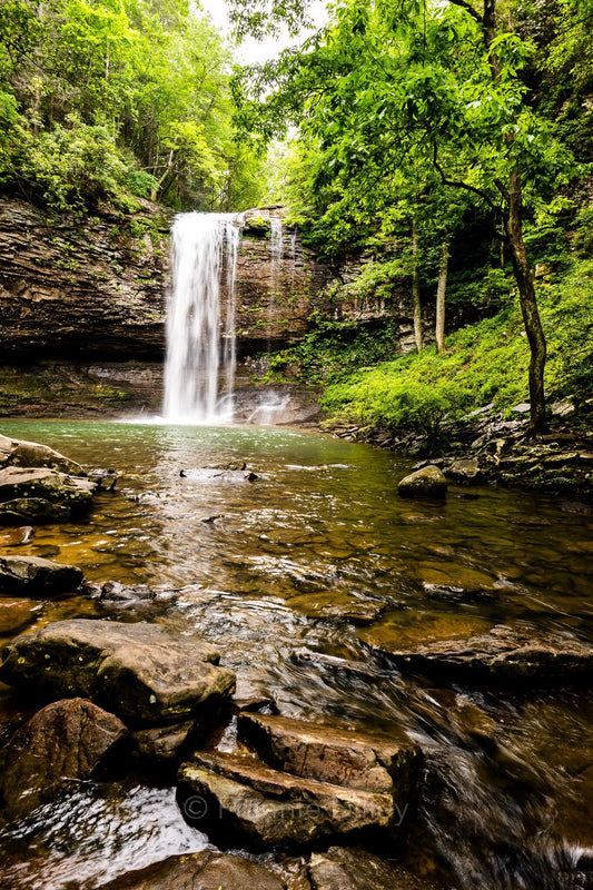 Cloudland Canyon State Park Georgia Landscape Photograph Metal Print Wall Art Cherokee Falls Decor Waterfalls Frannie Dilley Photography