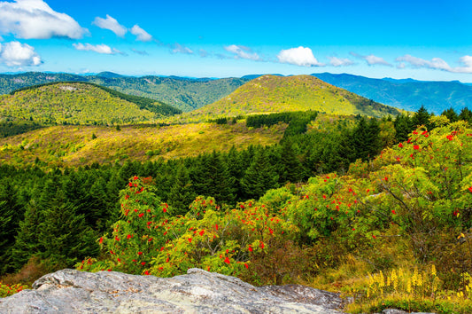 Black Balsam Knob, Hiking, Mountain, East Fork, North Carolina,Landscape Photograph.