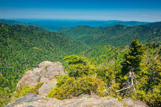 Charlies Bunion, Newfound Gap, Appalachian Trail, Hiking, Mountains, Bryson City, North Carolina, Tennessee, Landscape Photograph